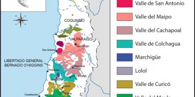 Žemėlapis Čilės vyno regionuose 